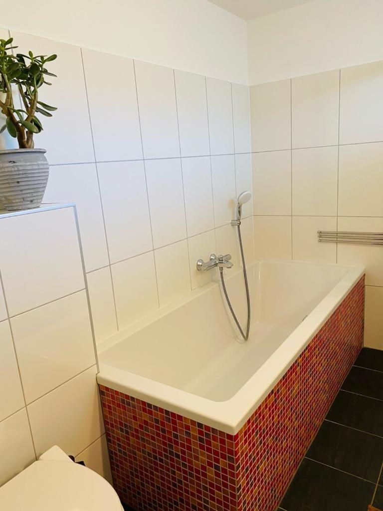 Bed and Breakfast By Onzz Kamperland Esterno foto